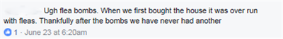 Flea Bombs Comment Flea Bombs Comment