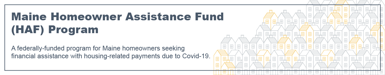 2022 Maine HAF Mini Banner